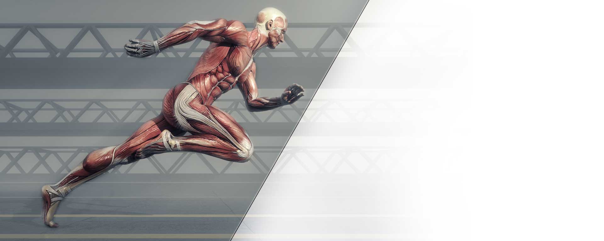 Foam Rolling > Next Level The BackBaller Sale Now On.